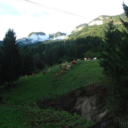 Holiday Home Bela Bohinjska Bela Exterior photo