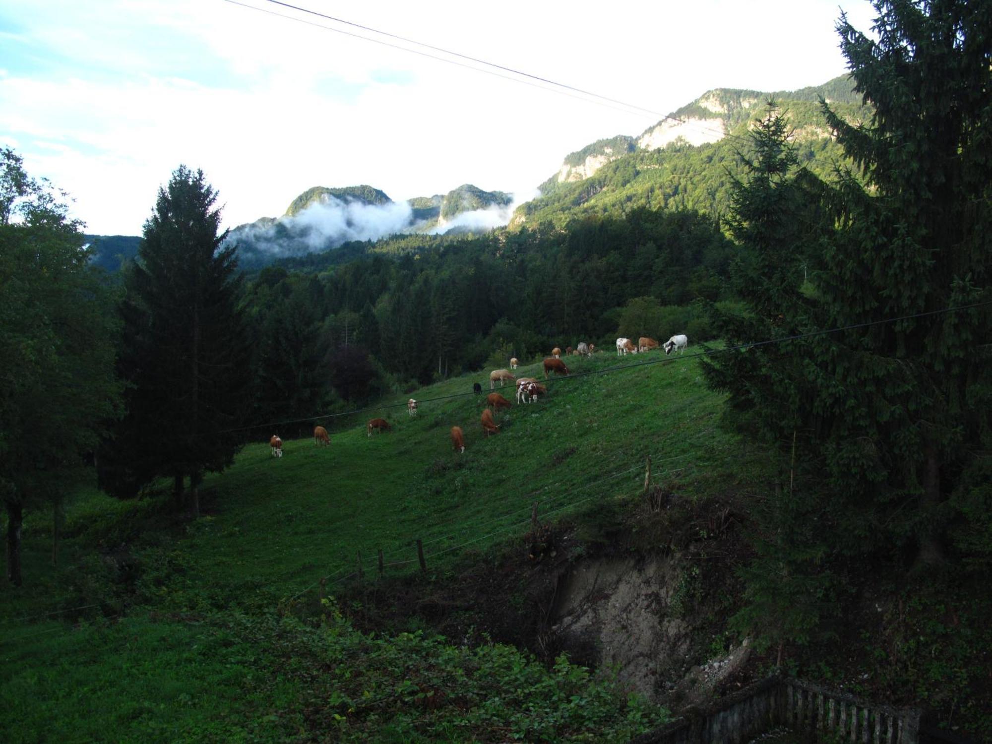 Holiday Home Bela Bohinjska Bela Exterior photo